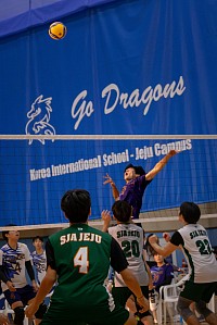 バレーボール